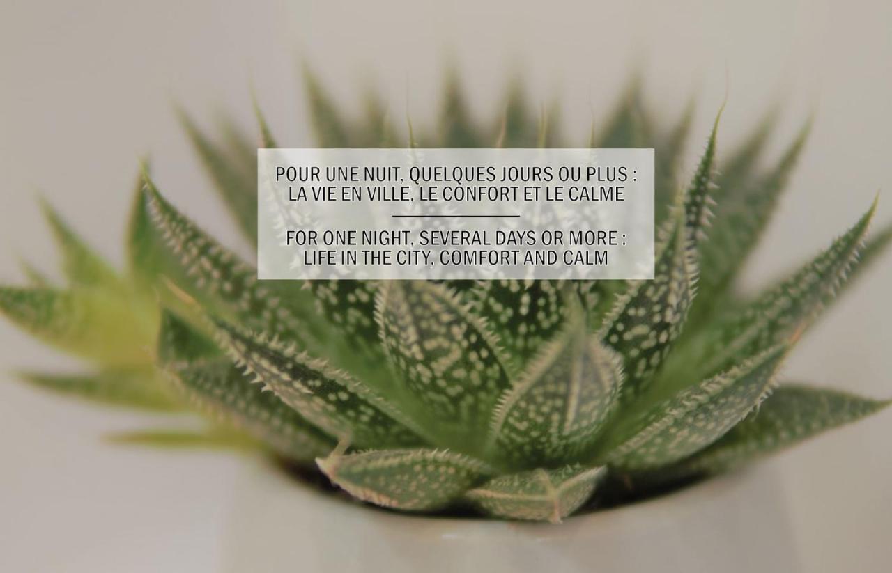 La Maisonnette De La Concorde Au Coeur De مْواساك المظهر الخارجي الصورة